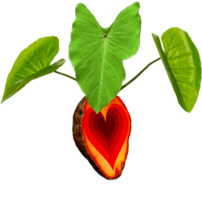 'Ohana Makamae Logo